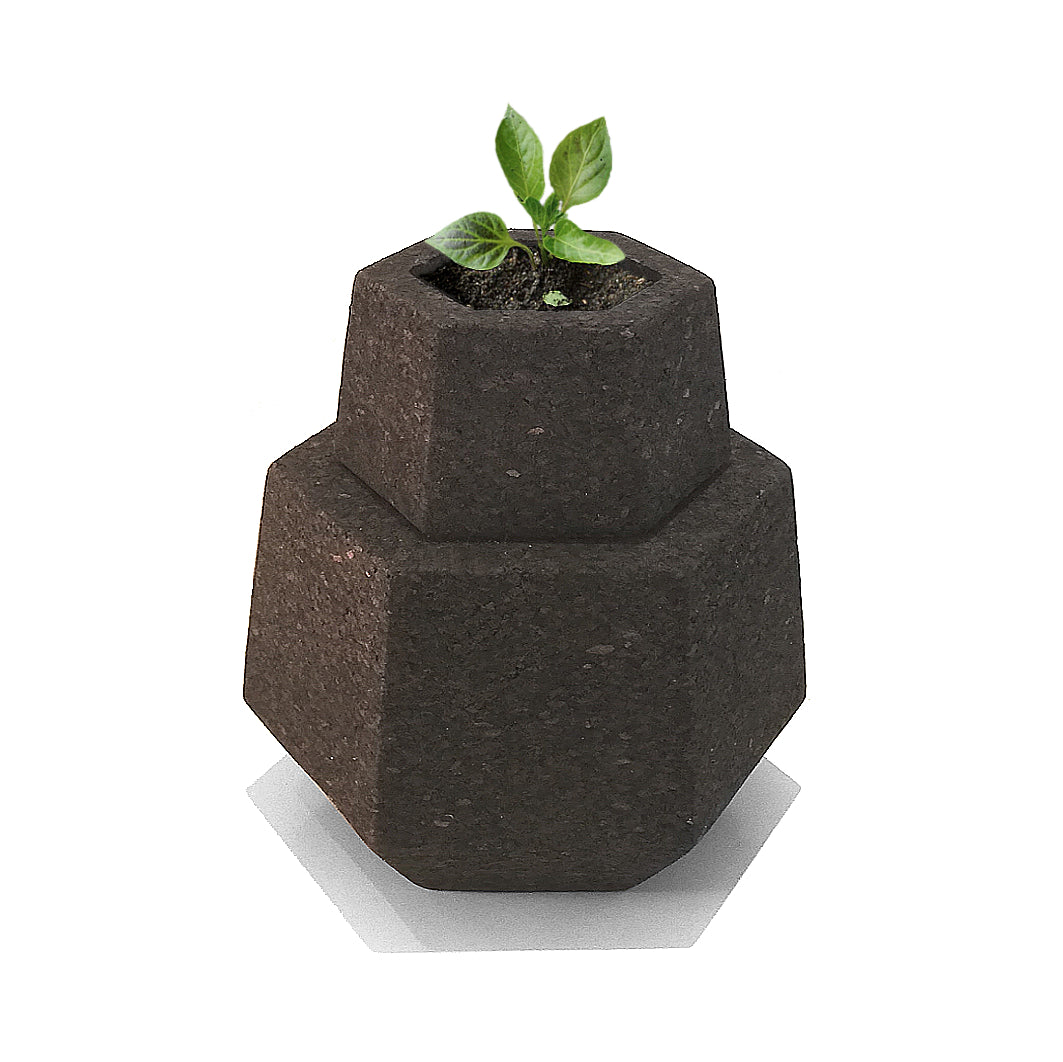 Cork Hexagon (vase/box) - Cork and Company | Made in Portugal | Vegan Eco-Friendly Fashion